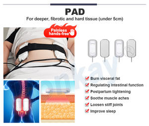 Máquina Profesional de Adelgazamiento Corporal con Terapia Tecar RF de <span class=keywords><strong>448</strong></span> <span class=keywords><strong>KHZ</strong></span>, RET CET, Diatermia 2024 - Product Image 5