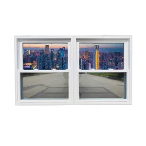 Niedriger Fabrik preis benutzer definierte Farbe upvc Doppel glas Moskito netz doppelt aufgehängt Schiebefenster