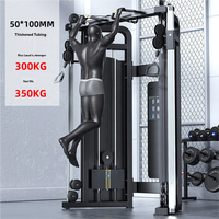 Máquina de Ejercicios Ajustable de Acero Little Bird Gantry Frame para Dominadas y Entrenamiento de Brazos Dobles