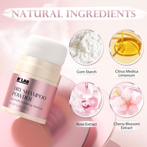 Poudre Volumisante Invisible pour Cheveux, Texture Naturelle Organique à Base d'Amidon de Maïs, Professionnelle OEM, Shampooing <span class=keywords><strong>Sec</strong></span> - Product Image 2