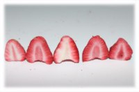 Gefreeze-droogde gemengde vruchten, gefreeze-droogde aardbeien, bananen, moerbeienchips met suiker, groothandel