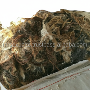 Elegancia ecuestre exclusiva: pelos de cola principal de caballo de búfalo a precios muy asequibles por M. R. S. EXPORTACIONES - Product Image 1