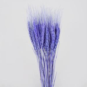 新2022创意非凡鲜花交付保存小麦家居装饰礼品花墙小麦 - Product Image 6