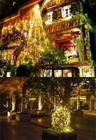 Guirlandes lumineuses LED de Noël pour extérieur, 10 m, 100 LED, PVC, très vendues