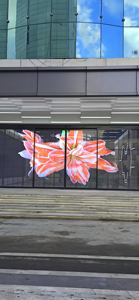 Pantalla LED Transparente de Alta Resolución de 360 Grados P10.4 con Malla Holográfica para Museos, Lanzamiento de Productos y Anuncios - Product Image 4