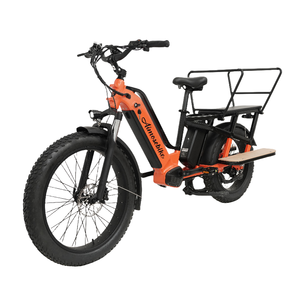 Vente chaude en direct Ebike 1000W moteur 30A grande batterie <span class=keywords><strong>avec</strong></span> chargeur de téléphone support <span class=keywords><strong>coffre</strong></span> Cargo vélo électrique - Product Image 3