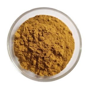 สารสกัดเห็ดหลินจือธรรมชาติชนิดผง สารสกัดเห็ดหลินจือ (Hericium Erinaceus) สารสกัดเห็ดหลินจือ (Lion's Mane) โพลีแซ็กคาไรด์ 30% 50% เบต้ากลูแคน - Product Image 1