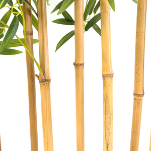 Plantes artificielles naturelles en <span class=keywords><strong>gros</strong></span> pour la décoration, design 190CM, grandes plantes en plastique artificielles en <span class=keywords><strong>pot</strong></span>, pour intérieur et extérieur, bambous sacrés - Product Image 4