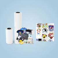 Imprimante DTF à transfert thermique PU haute température CTS-M75U pour textiles et vinyle avec film en poudre DTF blanc