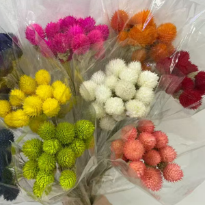 Flores Secas al por Mayor de Fábrica: <span class=keywords><strong>Gomphrena</strong></span> <span class=keywords><strong>Globosa</strong></span>, Amaranto Globo Natural Preservado para Decoración - Product Image 2