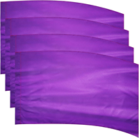 Drapeau de cérémonie personnalisé, couleur au choix, 36 x 54 pouces, rectangle incurvé, pour la pratique, les performances, la danse, les fanfares, avec mât en fibre de verre