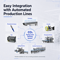Machine de marquage laser CO2 Faith 40W, graveur Galvo en ligne, codeur en temps réel pour ligne de production et emballage