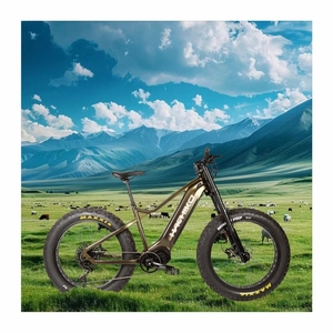 Vélo électrique robuste 1000W à moteur central pour adultes, VTT électrique H-ZC pour hommes - Product Image 3