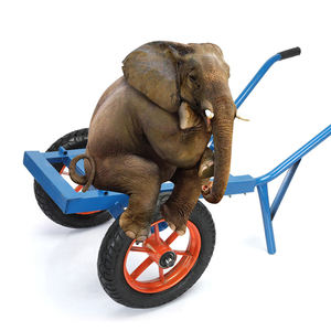 <span class=keywords><strong>รถ</strong></span>ดัมพ์สองล้อสำหรับใช้<span class=keywords><strong>ขน</strong></span>ย้าย<span class=keywords><strong>รถ</strong></span>สาลี่บรรทุกดินในฟาร์มสวนไซต์ก่อสร้าง - Product Image 6