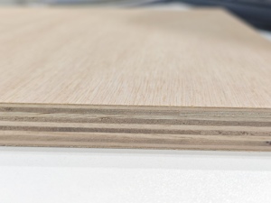 Chine stratifié compact haute pression (HPL) <span class=keywords><strong>contreplaqué</strong></span> salle de bain cuisine double face résistant à la chaleur matériau décoratif ignifuge - Product Image 3