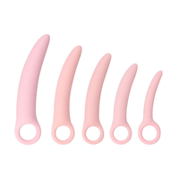 Ensemble de 5 pièces d'entraînement anal en silicone sûr pour le corps, étanche, avec baguettes pélviennes, bouchons anaux, ventouse puissante et forme ergonomique conique