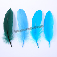 Fushia plume d'oie pour Arts artisanat bricolage stylo aile coiffure Costume chapeau cheveux accessoire carnaval fête mariage maison noël décor