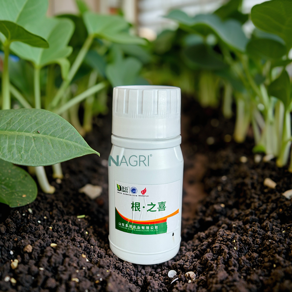 Wholesale Liquid Humic Acid Fertilizer 1L OEM Manufacturer