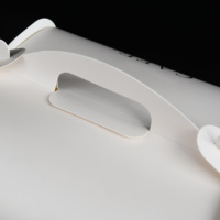 Emballage alimentaire congelé personnalisé, imprimé, imperméable, portable, de haute qualité, en matériaux recyclés, boîte en papier blanc avec doublure en éponge, fermeture magnétique