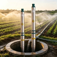 Pompe submersible pour puits profond. Pompe à eau profonde pour puits domestique et agricole à impeller multi-étages en acier inoxydable.