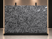 Dalle de granit Matrix pour carrelage de sol, comptoir, crédence, panneau, monte-escalier, plinthe, seuil et surface découpée sur mesure
