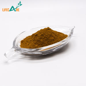 Extrait d'hamamélis biologique de qualité alimentaire en vrac, soluble dans l'eau, en poudre, emballé sous vide, bidon de 1 kg pour <span class=keywords><strong>la</strong></span> peau - Product Image 5