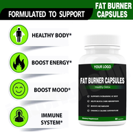 Ausreson OEM Chine Complément Alimentaire Naturel Slim Plus Brûleur de Graisse en Capsules 500mg Puissant Brûleur de Graisse Herbal en Capsules