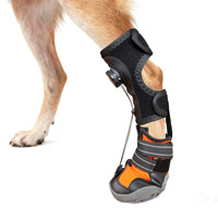 Attelle pour pattes arrière de chien avec botte, sans flexion, support pour pied tombant, doublure en néoprène, semelle extérieure en caoutchouc, maille respirante, fabrication usine