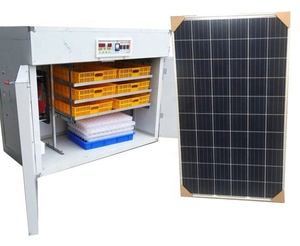 Lồng Ấp Trứng Năng Lượng Mặt Trời Cho Gia Cầm Nhà Sản Xuất Trung Quốc Pin Năng Lượng Mặt Trời 500 - Product Image 1