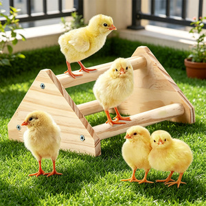 <span class=keywords><strong>Gallinero</strong></span> <span class=keywords><strong>de</strong></span> <span class=keywords><strong>Madera</strong></span> Natural Sólida <span class=keywords><strong>de</strong></span> Múltiples Niveles - Product Image 6