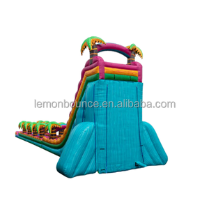 Vente flash : Toboggan aquatique gonflable géant commercial avec <span class=keywords><strong>piscine</strong></span> à jets d'eau, toboggan gonflable humide et sec adapté aux adultes et aux enfants, <span class=keywords><strong>pour</strong></span> l'extérieur - Product Image 6