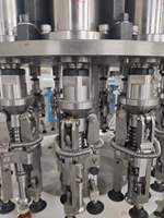 Machine rotative automatique de bouchage de bouchon de bouteille en plastique de bonne qualité