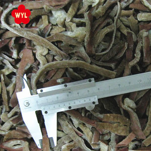 Champignon Chine Champignon noir congelé - Product Image 3