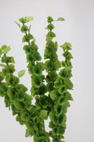 Cloches artificielles de tige de verdure de Offre Spéciale 95cm Real Touch de fleur d'Irlande pour la décoration d'événement