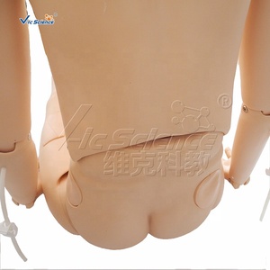 Muñeca de entrenamiento de enfermera de alta calidad (femenina) Simuladores de maniquíes para entrenamiento médico maniquí médico - Product Image 4