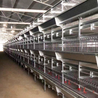 Système de cages automatiques en H pour poulets de basse-cour destiné aux fermes avicoles commerciales, avec équipement d'alimentation, d'abreuvement et de nettoyage du fumier