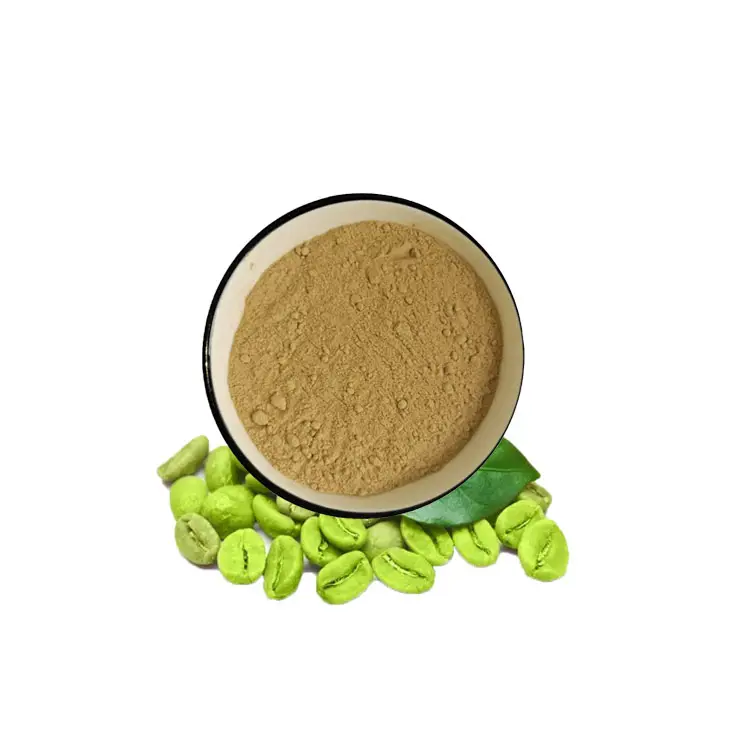 Natural 10:1 20:1 Green Coffee Bean Extract Powder 45% 50% Chlorogenic Acid