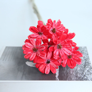 <span class=keywords><strong>Fiori</strong></span> Secchi di Girasole con Guscio, Regalo di San Valentino, Decorazioni per Matrimoni, <span class=keywords><strong>Fiori</strong></span>, Bomboniere Essenziali - Product Image 6