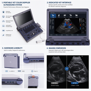 Sistema de Ultrasonido Doppler Color Portátil Veterinario C6, Equipo de Imagenología Digital Clínica Móvil para Cama o Consultorio, Diagnóstico Veterinario Profesional C6 - Product Image 3