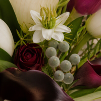 Buket Pengantin Mewah Zhiwu Bunga Tulip & Calla Lily Buatan dari Plastik Lembut Buatan Tangan Realistis untuk Dekorasi Pernikahan & Fotografi