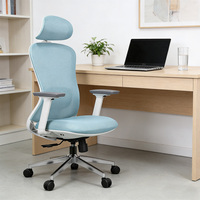 Fauteuil de bureau ergonomique en gros avec base chromée, support lombaire en mousse à mémoire de forme, hauteur réglable et dossier en maille pivotant