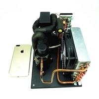 R134a DC 12v 24v 48v 400 watts mini module refroidisseur d'eau unité de refroidissement pour système de brassage domestique refroidisseur de glycol
