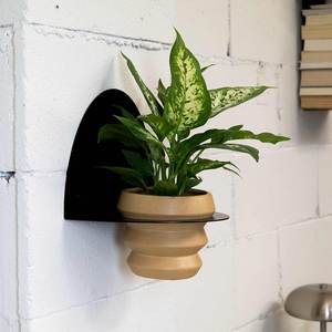 Jardinière murale en métal Bergen, acier thermolaqué mat, design moderne et contemporain, pour intérieur et extérieur, support de jardinière à fleurs, étagère - Product Image 2