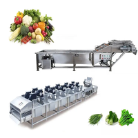 Op Maat Gemaakte Industriële Automatische Bubbelreinigingslijn Voor Fruitgroente Zeevruchtensapproductie Voedselverwerkende Apparatuur