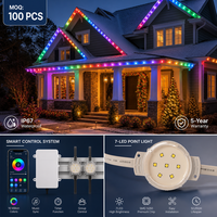 Lumières de Noël personnalisées en gros, étanches, à points lumineux permanents, LED RGBW pour extérieur, en matériau PC, pour aménagement paysager