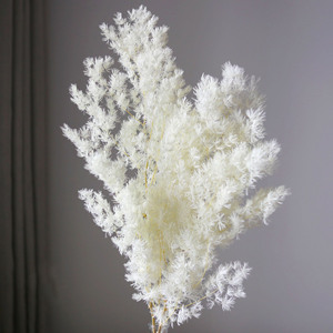 Décorations de mariage bohèmes florales, fleurs séchées blanches de gypsophile, bouquet de fleurs séchées naturelles, plantes à vendre - Product Image 1