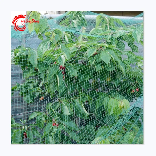 Nylon/HDPE Protective Net For Fruit Trees Bird Net bird catching net