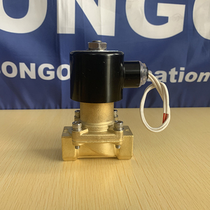 SONGO Solenoide Magnético de Latón de 2 Vías y 12VDC de Alta Presión (16 bar) - Product Image 1