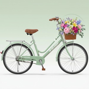 Bicicletta da Città 24/26 Pollici in Acciaio ad Alto Tenore di Carbonio, Freni a Disco Retrò, Forcella Ammortizzata, Bici da Strada a Velocità Singola - Product Image 1