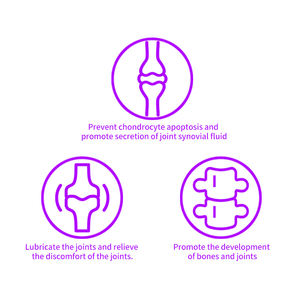 Integratori <span class=keywords><strong>per</strong></span> Articolazioni OME&ODM con Glucosamina, Condroitina e MSM in Compresse Masticabili <span class=keywords><strong>per</strong></span> <span class=keywords><strong>Cani</strong></span> e Gatti - Product Image 4